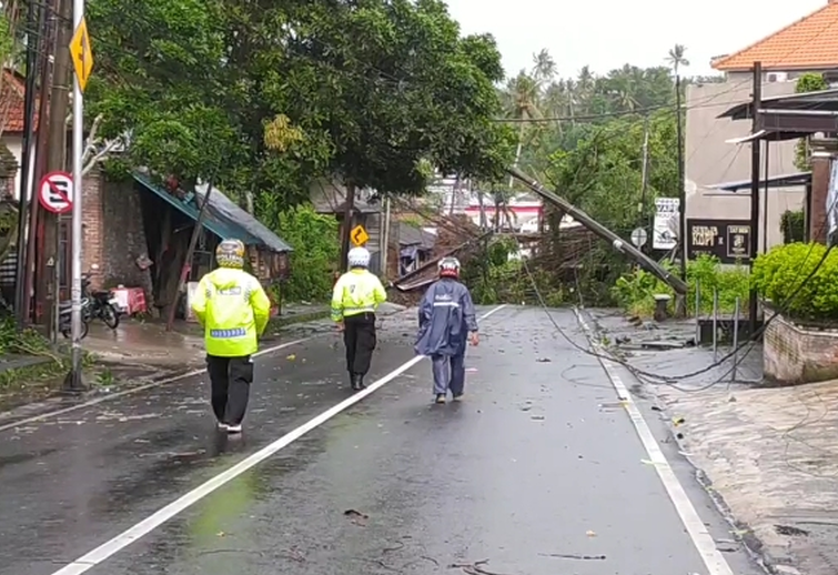 Image Credit Sopian Hadi/Beritasatu - Fallen trees due to rain and strong winds in Dharmasaba Village closed road access from Badung to Denpasar, Bali, Sunday (9/2/2025).