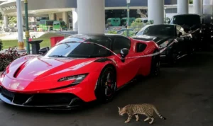 Image Credit Herman Zakharia - Related to Bribery Decision to Release CPO Exports, Attorney General's Office Confiscates Four Cars and Dozens of Luxury Motorcycles