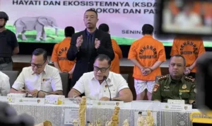 Investigators from the National Police Criminal Investigation Unit uncovered an elephant ivory trade syndicate in Sukabumi and Jakarta. From the hands of four suspects, the police confiscated evidence of whole and shaped elephant ivory with an estimated value of Rp2.3 billion. (Liputan6/Nanda Perdana Putra)