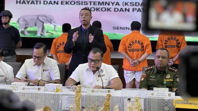 Investigators from the National Police Criminal Investigation Unit uncovered an elephant ivory trade syndicate in Sukabumi and Jakarta. From the hands of four suspects, the police confiscated evidence of whole and shaped elephant ivory with an estimated value of Rp2.3 billion. (Liputan6/Nanda Perdana Putra)